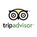 TripAdvisor Reviews